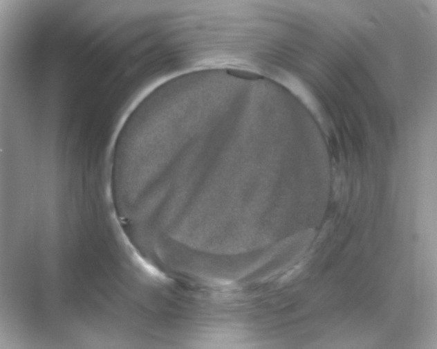 X0000068281102200605121905