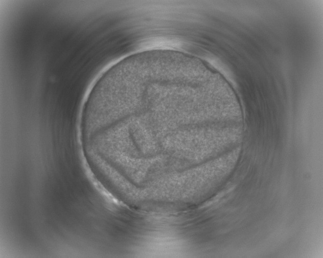 X0000068281104200605121905