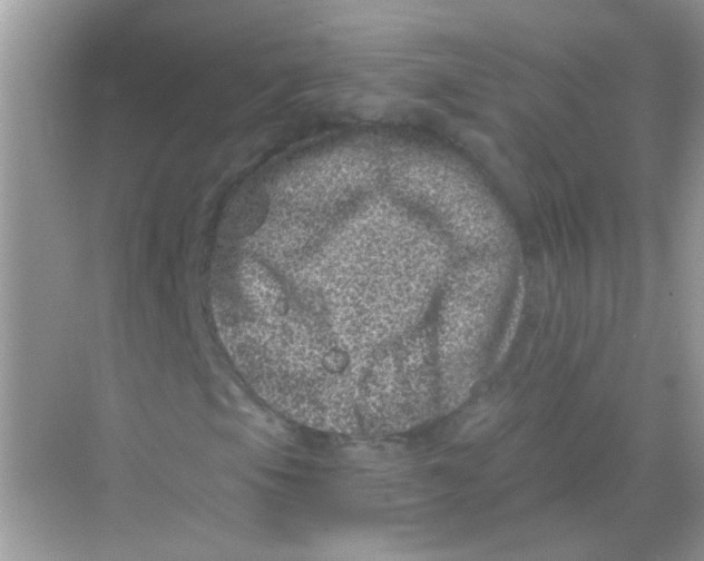 X0000068281105200605121904