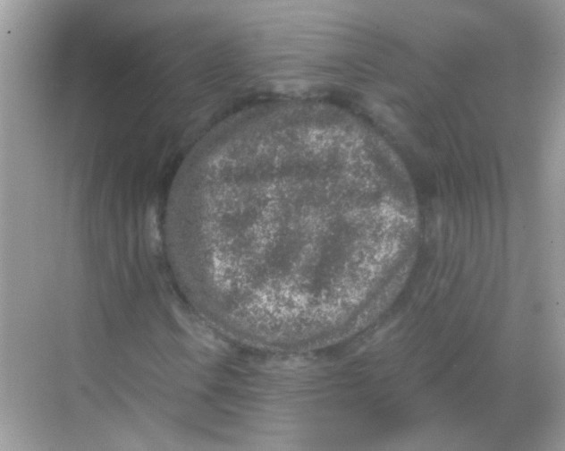 X0000068281106200605121904