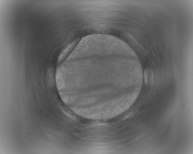 X0000068281107200605121905