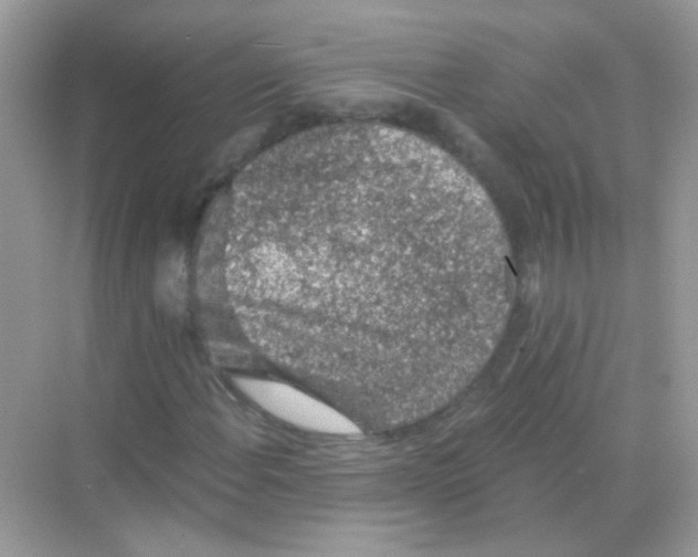 X0000068281108200605121905