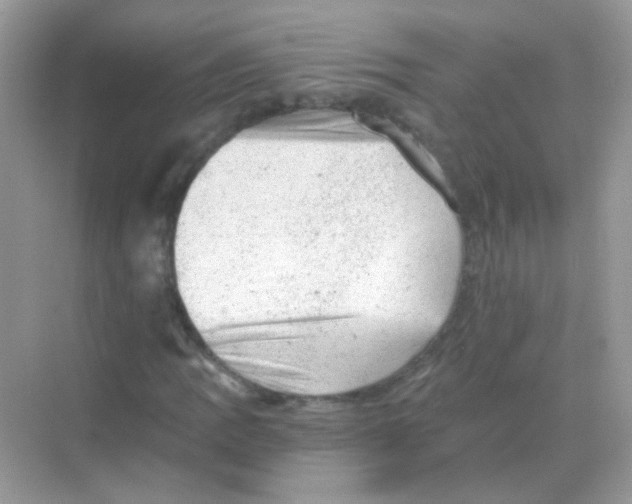 X0000068281109200605121905