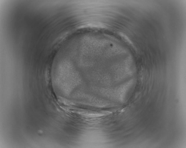 X0000068281110200605121905