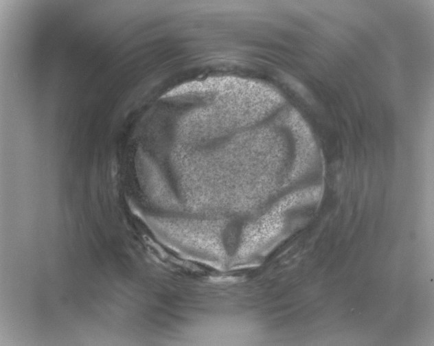 X0000068281111200605121905