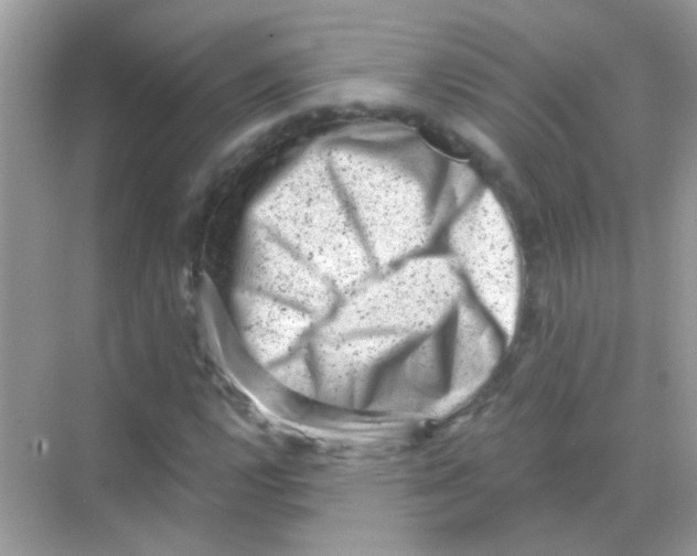 X0000068281112200605121905