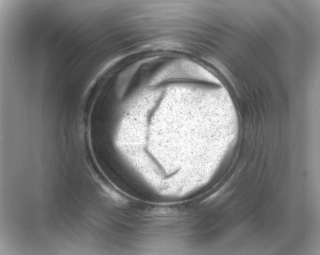 X0000068281115200605121905