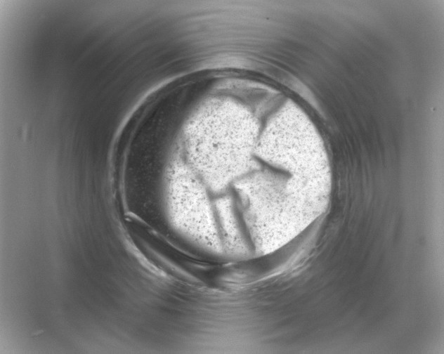 X0000068281116200605121905