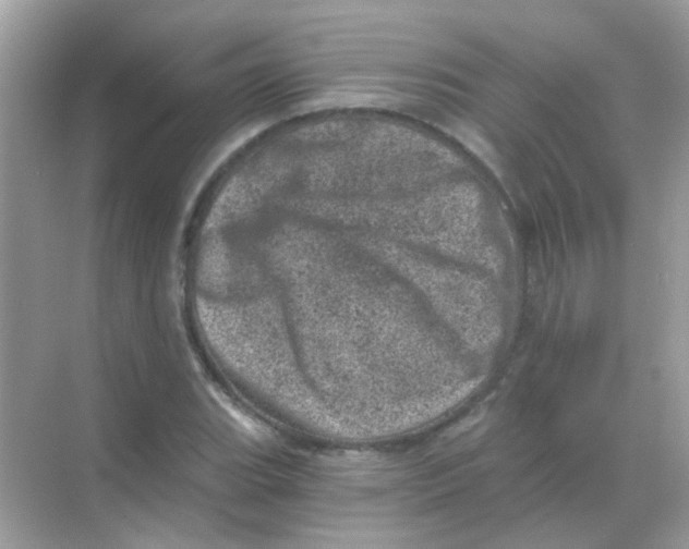 X0000068281119200605121905