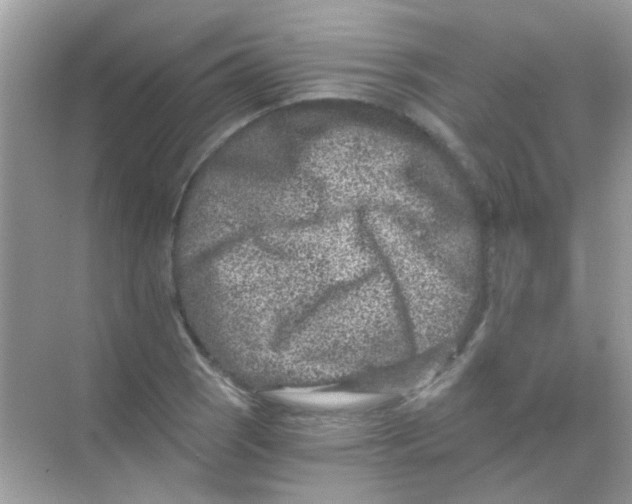 X0000068281121200605121905