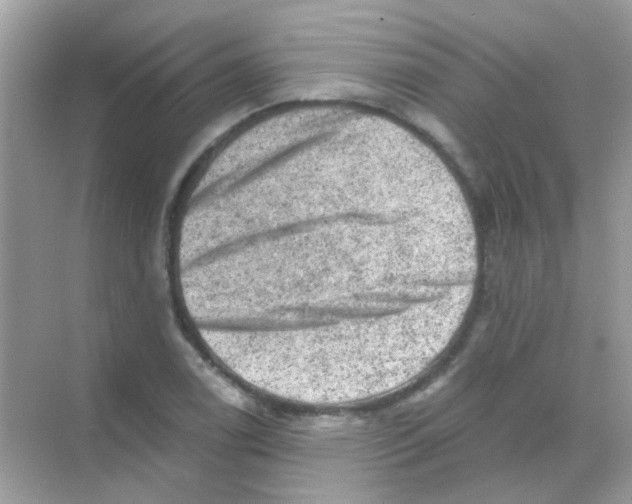 X0000068281122200605121905