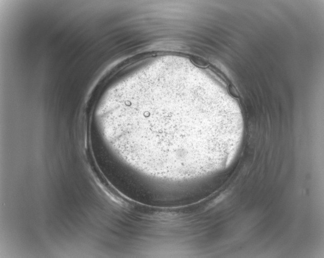 X0000068281123200605121905