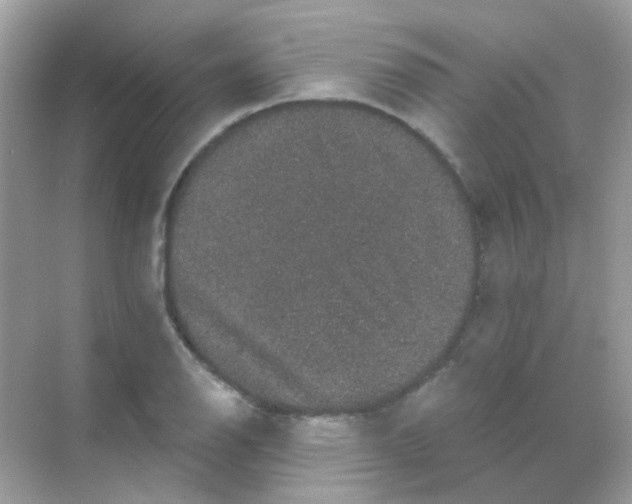 X0000068281126200605121905