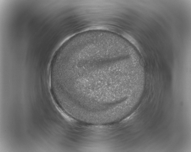 X0000068281127200605121905