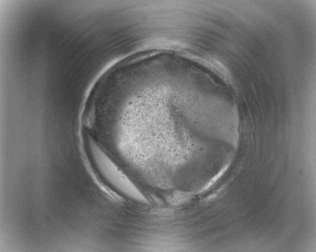 X0000068281128200605121905