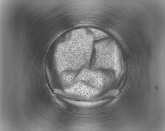 X0000068281129200605121905