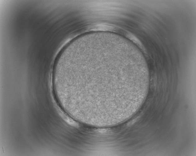 X0000068281130200605121905