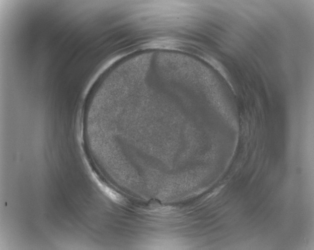 X0000068281131200605121905