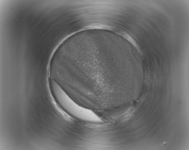 X0000068281132200605121905