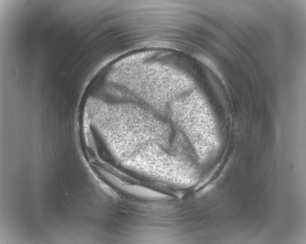 X0000068281133200605121905