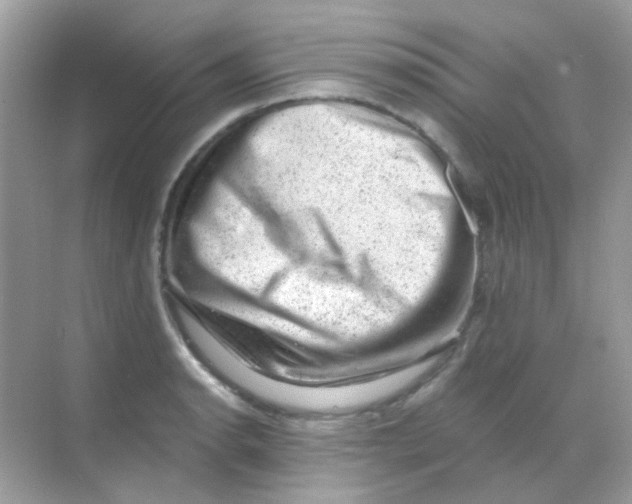 X0000068281134200605121905