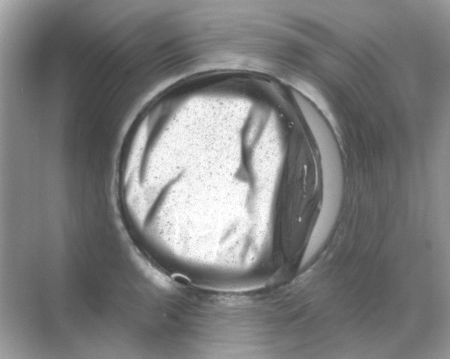 X0000068281136200605121905