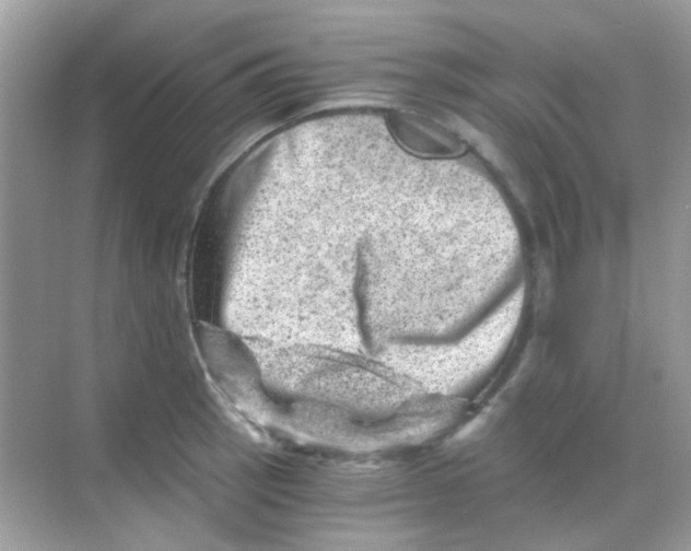 X0000068281137200605121905