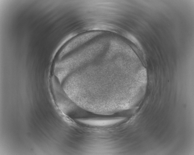 X0000068281138200605121905