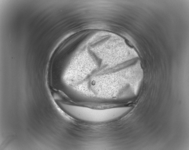 X0000068281139200605121905