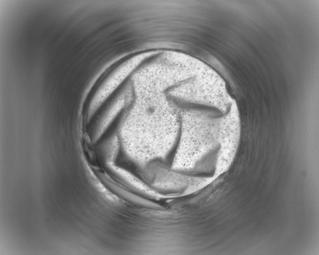 X0000068281140200605121905