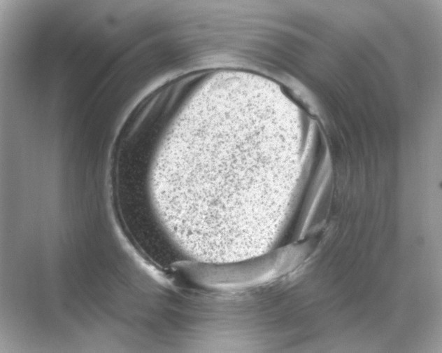 X0000068281142200605121905