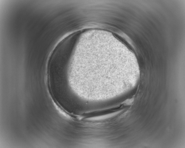 X0000068281143200605121905