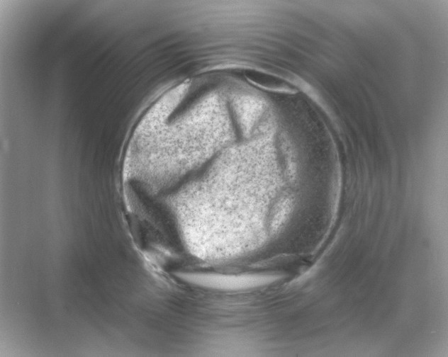 X0000068281145200605121905