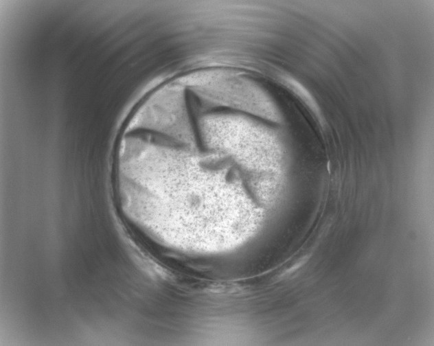 X0000068281146200605121905