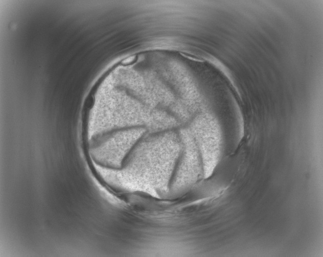 X0000068281147200605121905