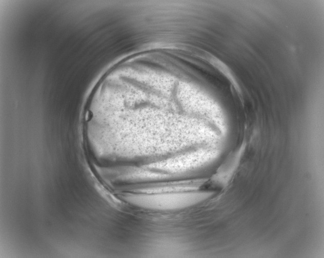 X0000068281148200605121905