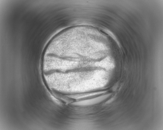 X0000068281149200605121905