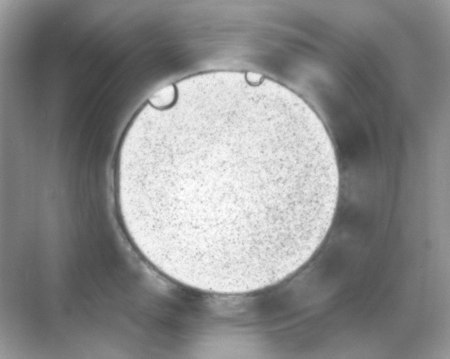 X0000068281150200605121905