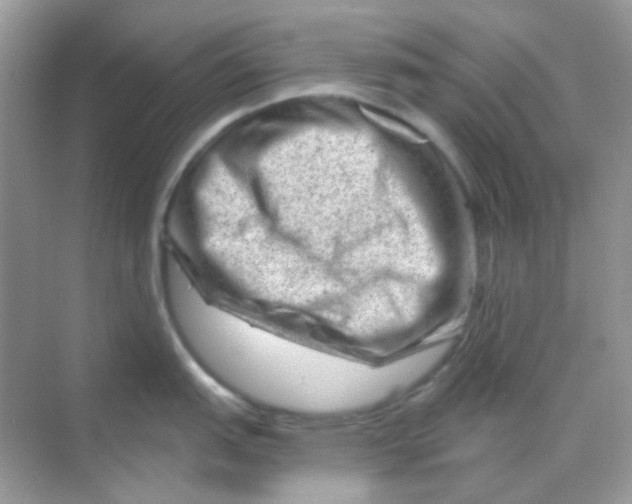 X0000068281151200605121905