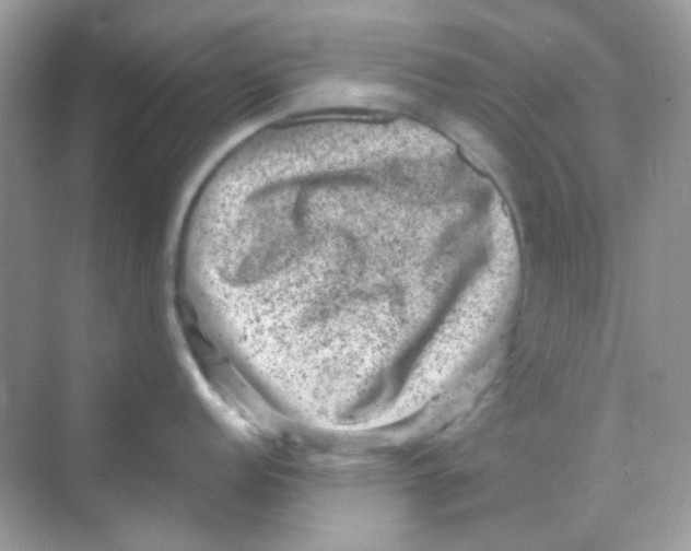 X0000068281152200605121905