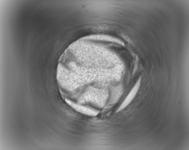 X0000068281153200605121904