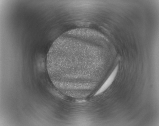 X0000068281154200605121904