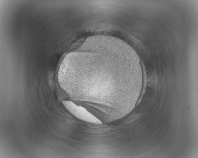 X0000068281156200605121904