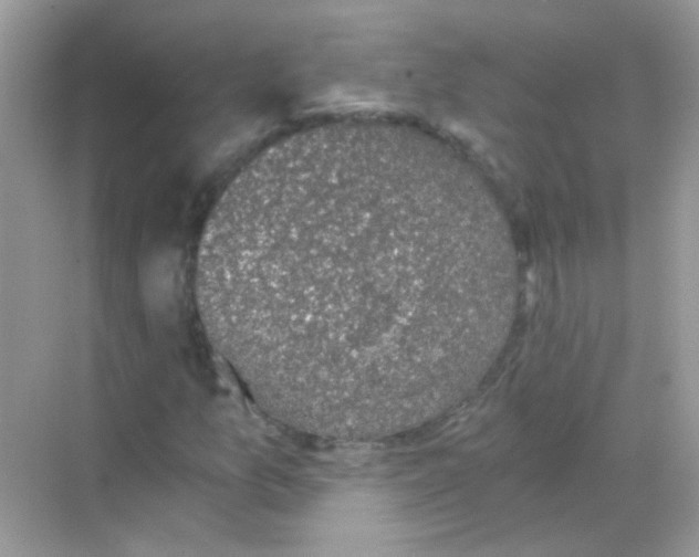 X0000068281157200605121904