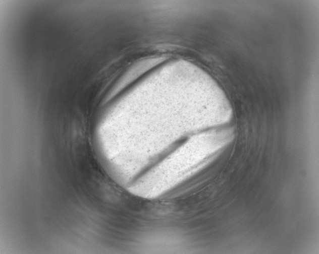 X0000068281158200605121904