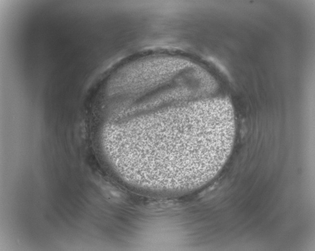 X0000068281159200605121904