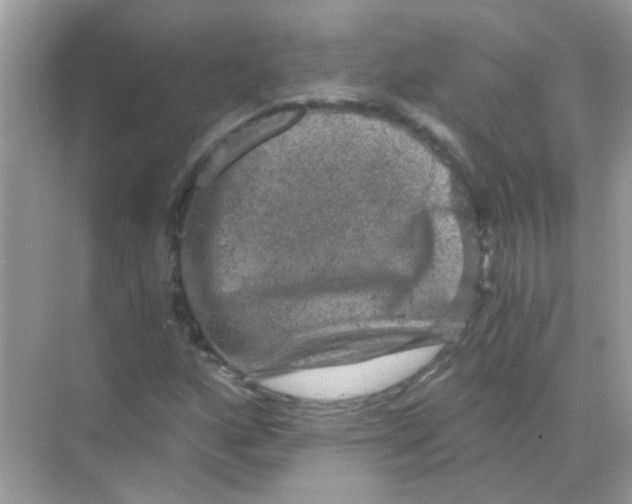 X0000068281160200605121904