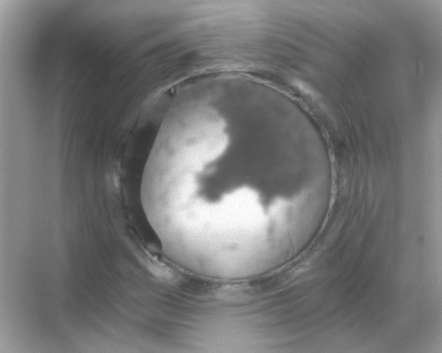 X0000068281161200605121904