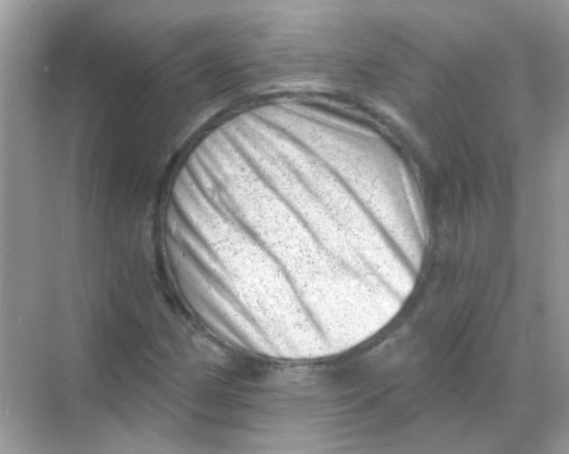 X0000068281162200605121904