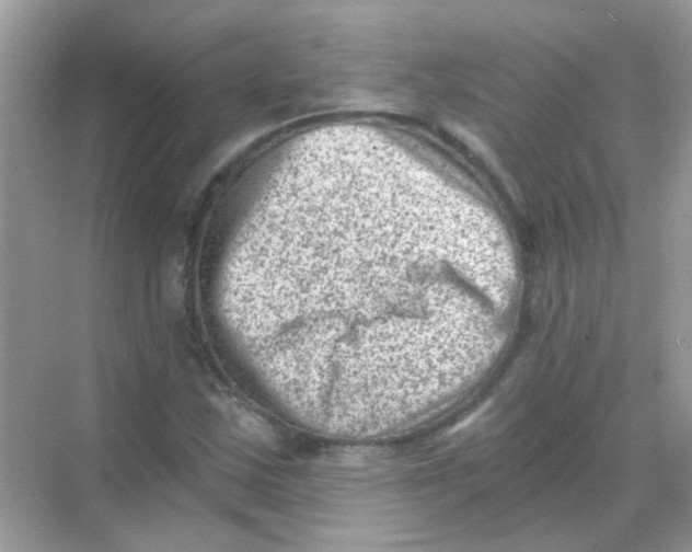 X0000068281163200605121904